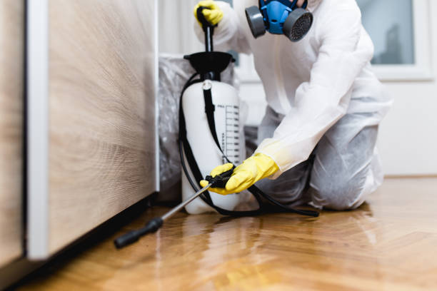 Best Wasp Removal Services  in North Rock Springs, WY