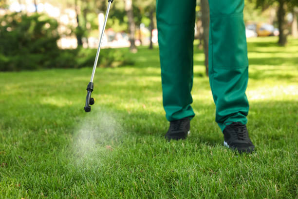 Best Affordable Pest Control Services  in North Rock Springs, WY