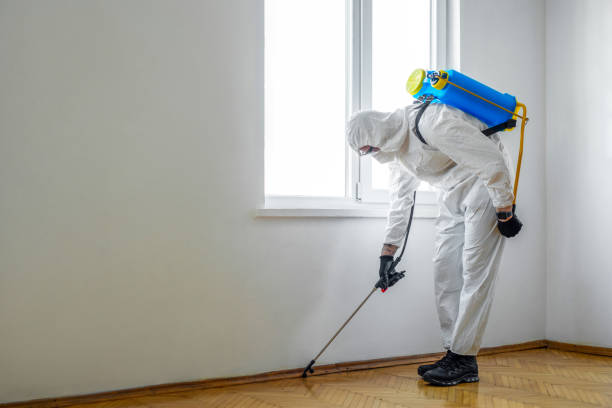 Best Affordable Pest Control Services  in North Rock Springs, WY