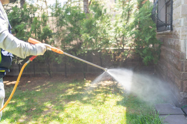 Best Flea Control Services  in North Rock Springs, WY
