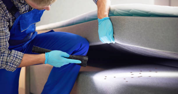 Best Pest Inspection Near Me  in North Rock Springs, WY
