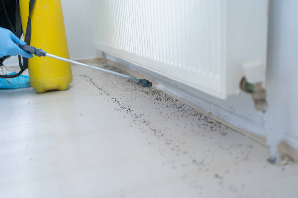 Best Cockroach Control Services  in North Rock Springs, WY
