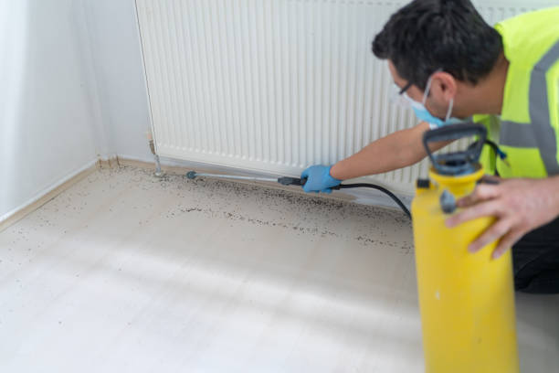 Best Exterminator Services  in North Rock Springs, WY