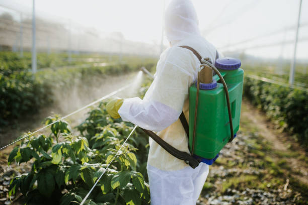 Best Pest Prevention Services  in North Rock Springs, WY